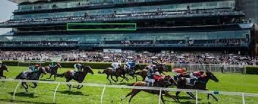 annette randwick horses