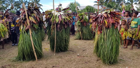 rabaul bushes