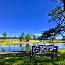 dp lake