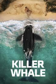 killer whate