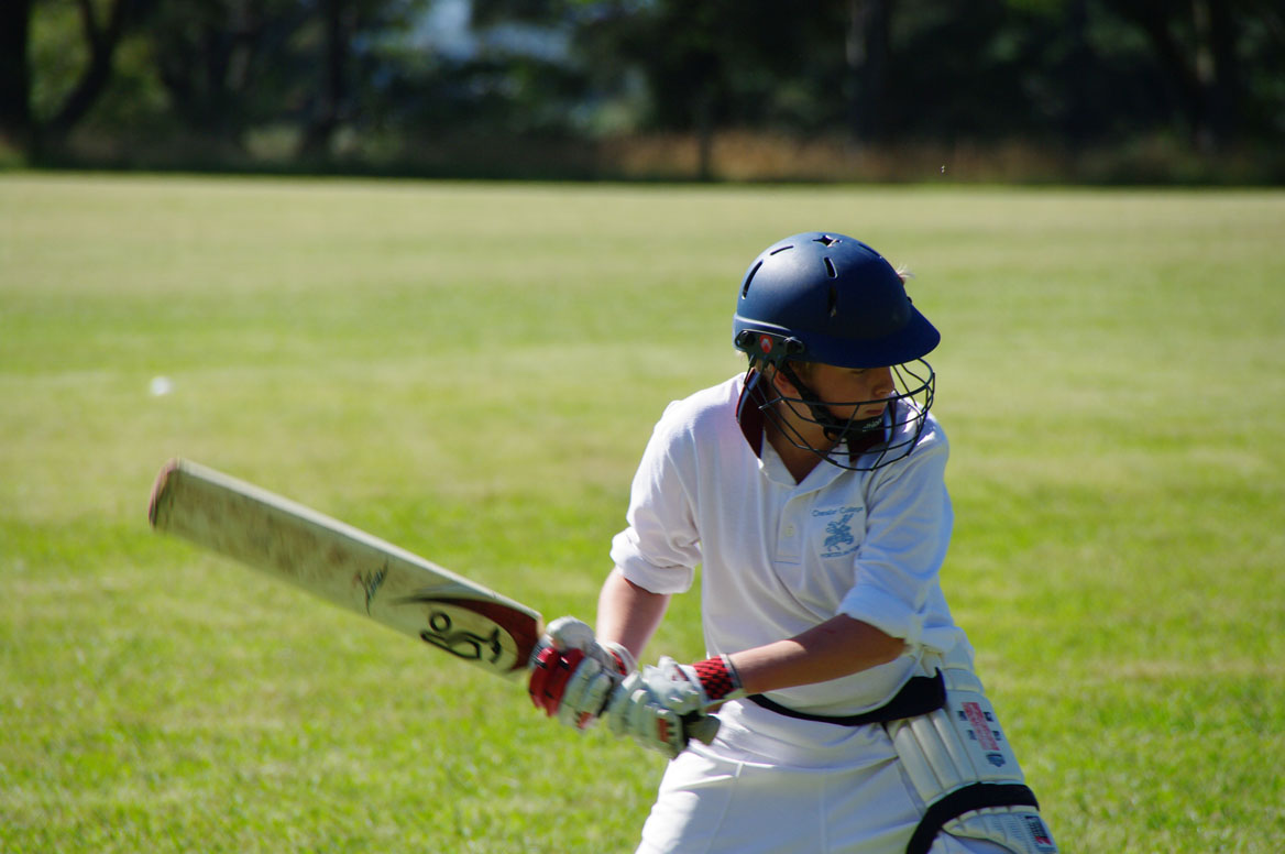 chevalier college cricketer