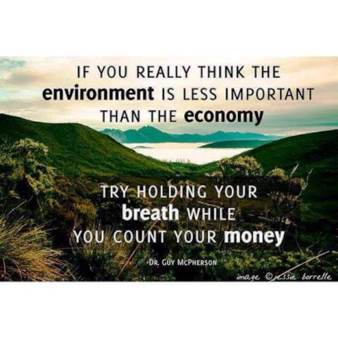 environment