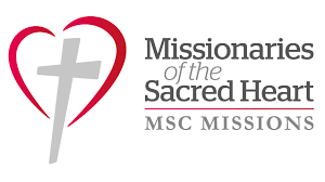 msc venez logo