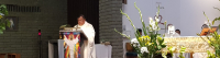 Easter, death and life. Message from Alo Lamere MSC.