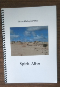Spirit Alive by Brian Gallagher MSC