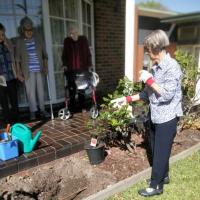 MSC Sisters celebrate 125 years